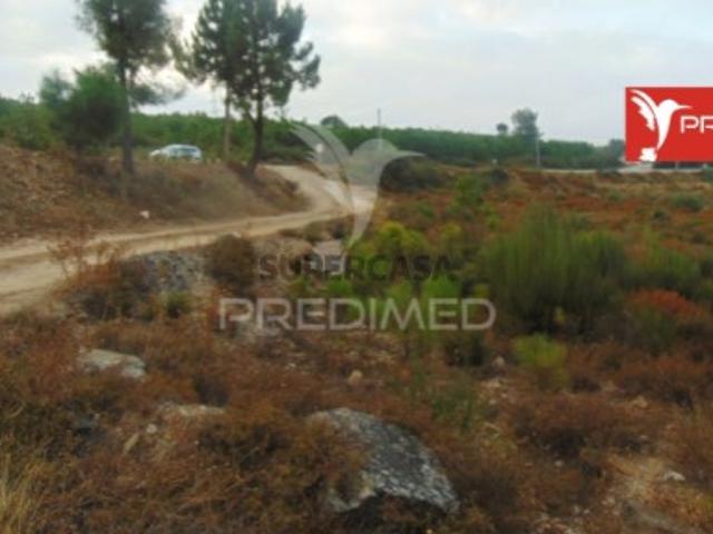 Terreno venda em Vila Real