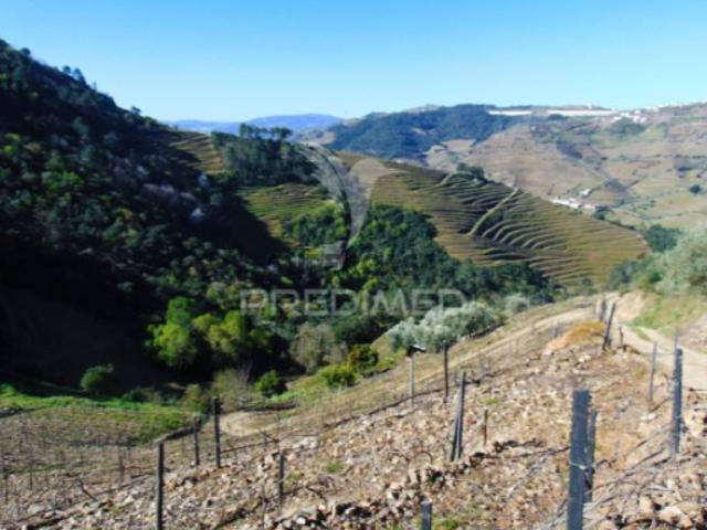Terreno venda em Vila Real