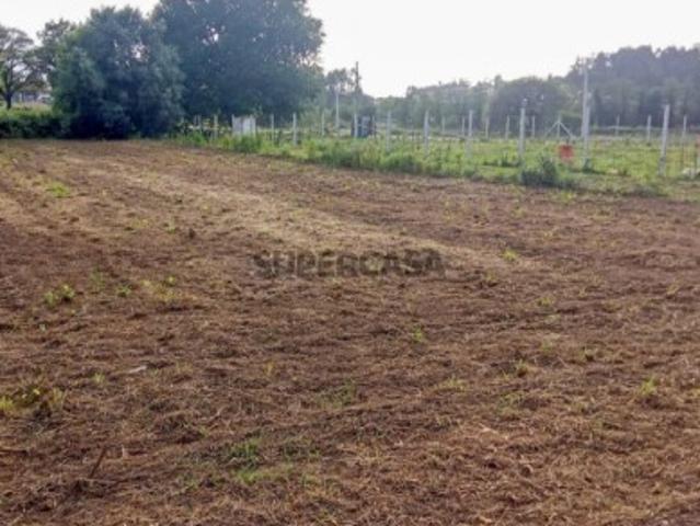 Terreno venda em Arcozelo, Braga