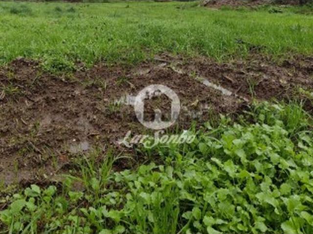 Terreno venda em Arcozelo, Braga
