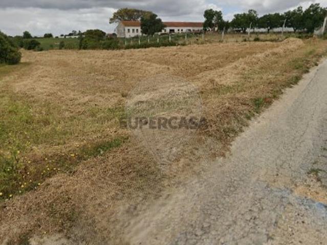 Terreno venda em Santarém