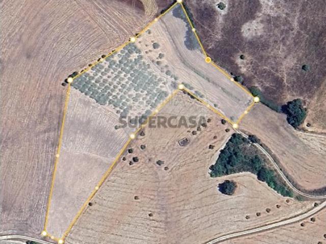 Terreno venda em Santarém