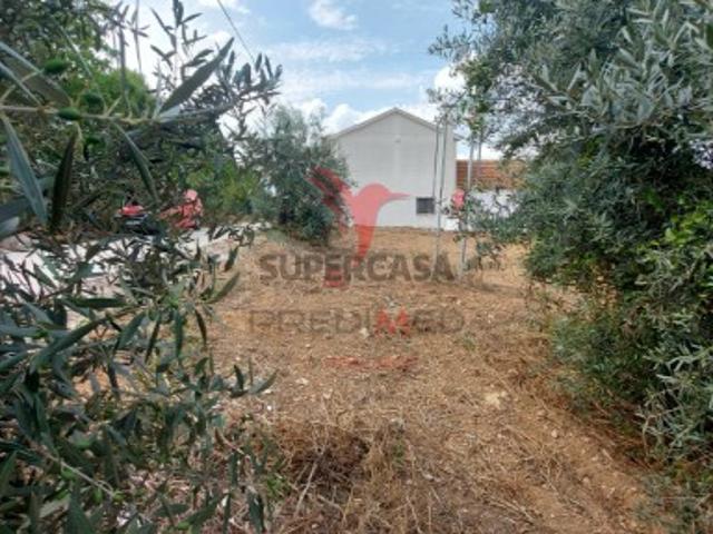 Terreno venda em Santarém, Abitureiras Terreno venda em Santarém, Abitureiras