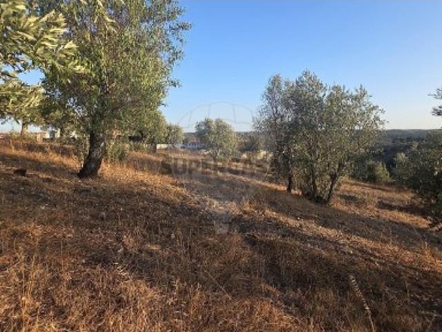 Terreno venda em Abrantes (São Vicente e São João) e Alferrarede, Abrantes