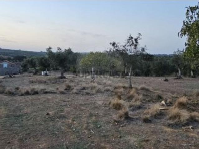 Terreno venda em Abrantes, Santarém