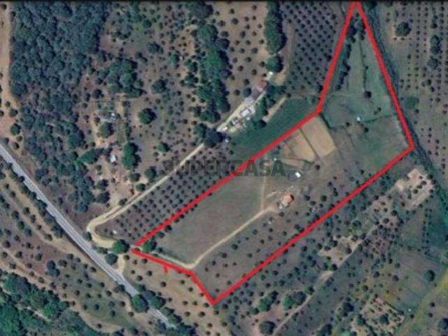 Terreno venda em Abrantes, Santarém