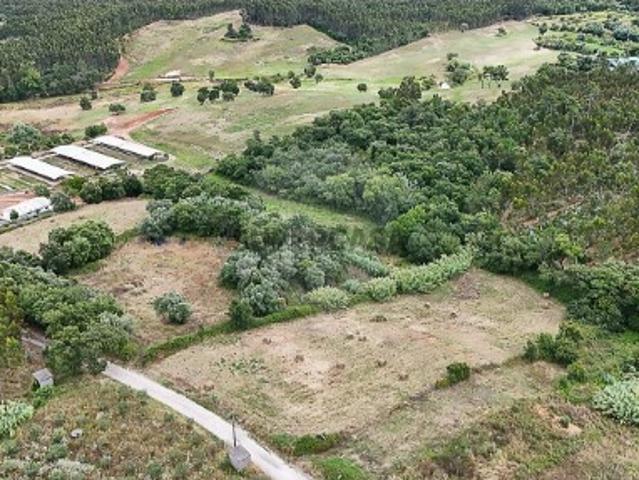Terreno venda em Abrunheira, Verride e Vila Nova da Barca, Montemor-o-Velho