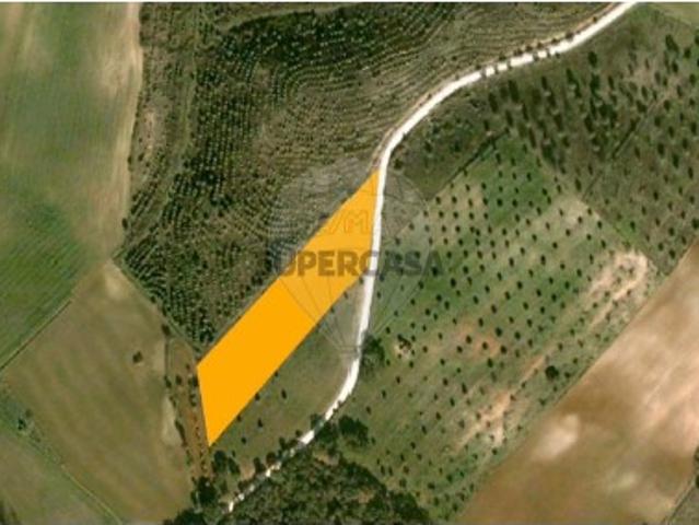Terreno venda em Santarém