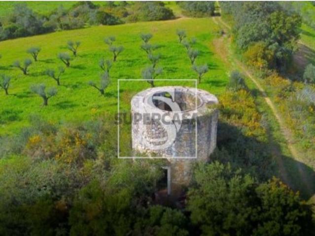 Terreno venda em Santarém, Arneiro dos Borralhos Terreno venda em Santarém, Arneiro dos Borralhos
