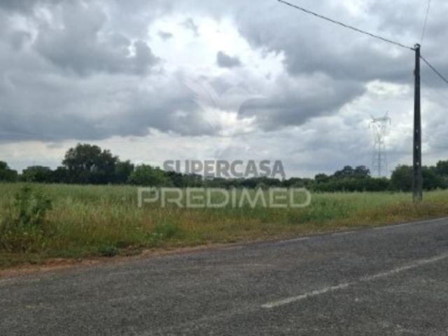 Terreno venda em Arneiro dos Borralhos, Santarém
