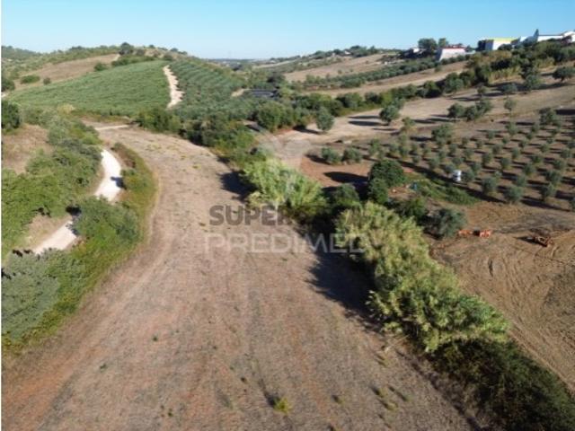 Terreno venda em Arneiro dos Borralhos, Santarém