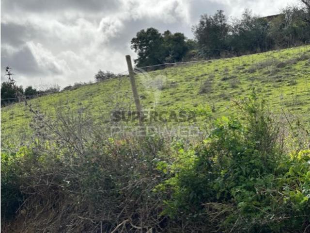 Terreno venda em Santarém