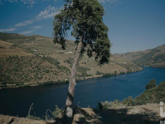 Terreno venda em Adorigo, Tabuaço