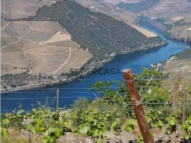 Terreno venda em Viseu