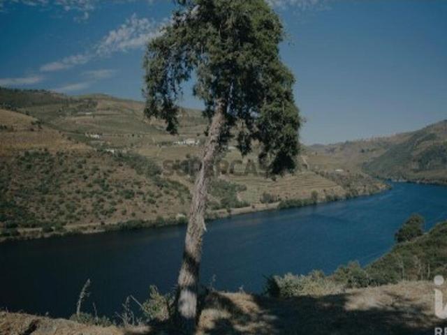 Terreno venda em Adorigo, Tabuaço