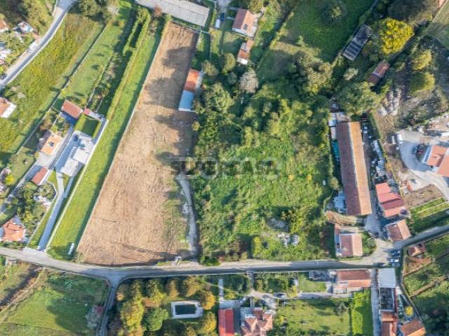 Terreno venda em Viana Do Castelo