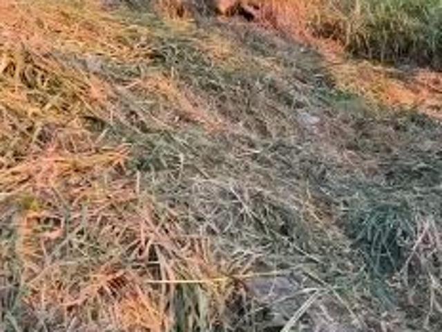 Terreno venda em Região Geográfica Imediata de Florianópolis, Desterro