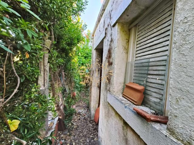 Terreno venda em Palmela, Setúbal