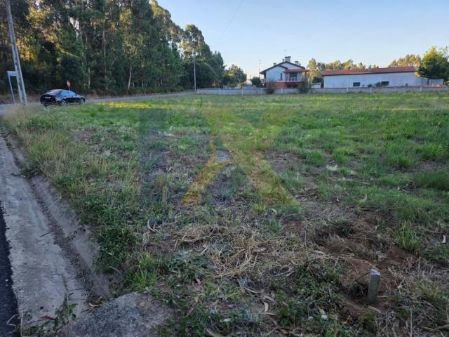 Terreno venda em Barro, Águeda