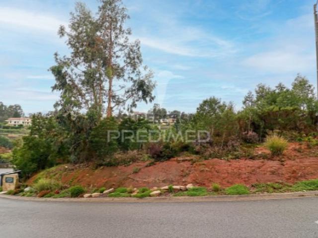 Terreno venda em Catraia de Assequins, Águeda