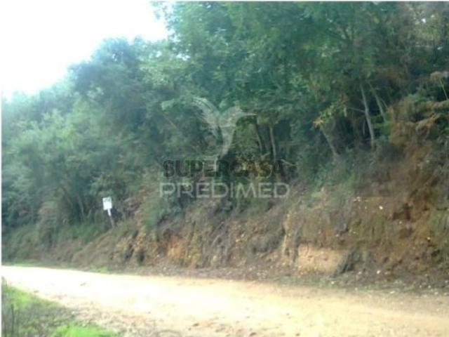 Terreno venda em Catraia de Assequins, Águeda
