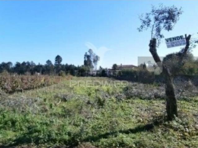 Terreno venda em Alagoa Oriente, Águeda