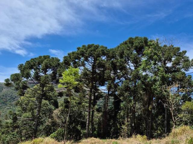 Terreno venda em Região Geográfica Imediata de Caxambu - Baependi, Aiuruoca
