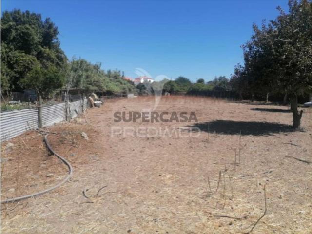 Terreno venda em Portalegre