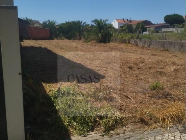 Terreno venda em Lagoa de Esgueira, Aveiro