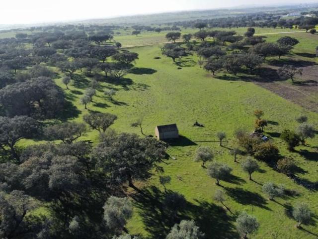 Terreno venda em Capelins (Santo António), Évora