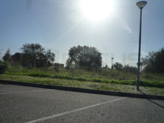 Terreno venda em Assilhó, Albergaria-a-velha