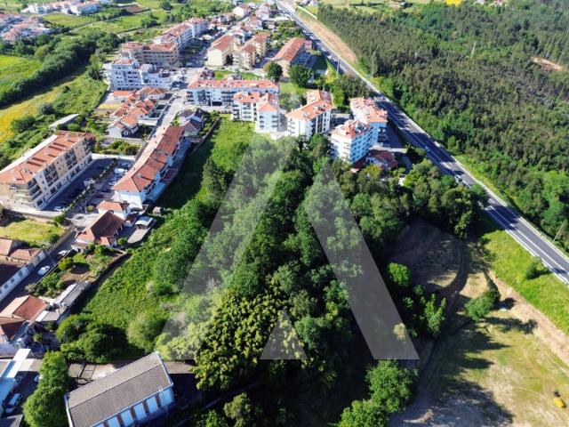 Terreno venda em Assilhó, Albergaria-a-velha