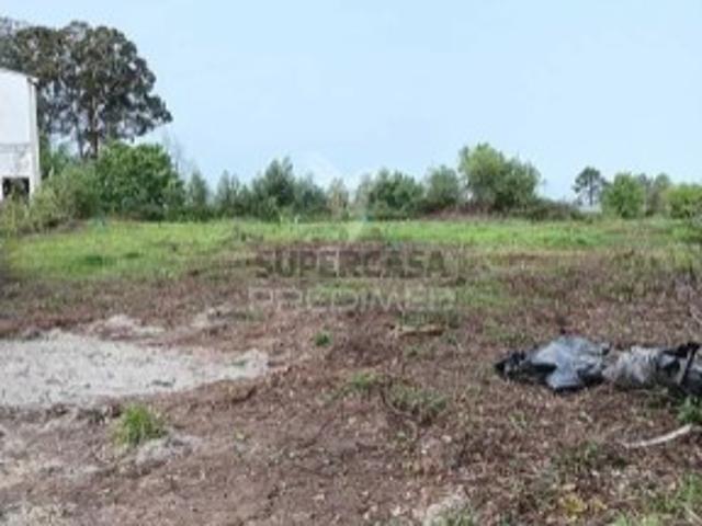 Terreno venda em Assilhó, Albergaria-a-velha
