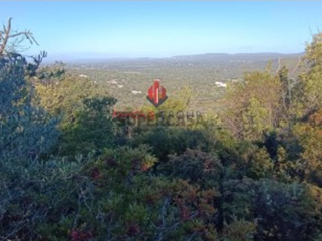 Terreno venda em Albufeira, Faro