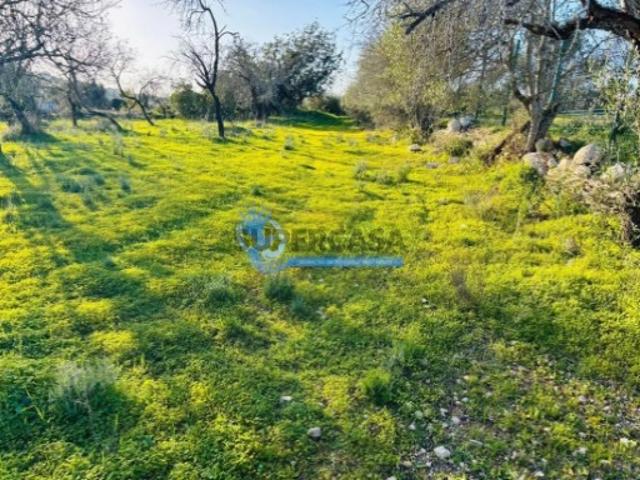 Terreno venda em Albufeira e Olhos de Água, Albufeira