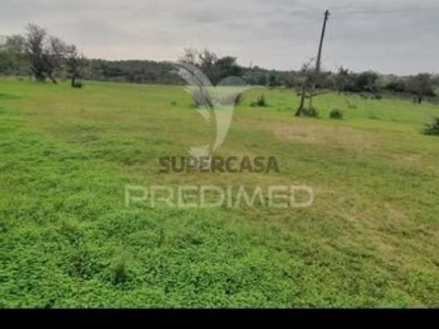 Terreno venda em Albufeira e Olhos de Água, Albufeira