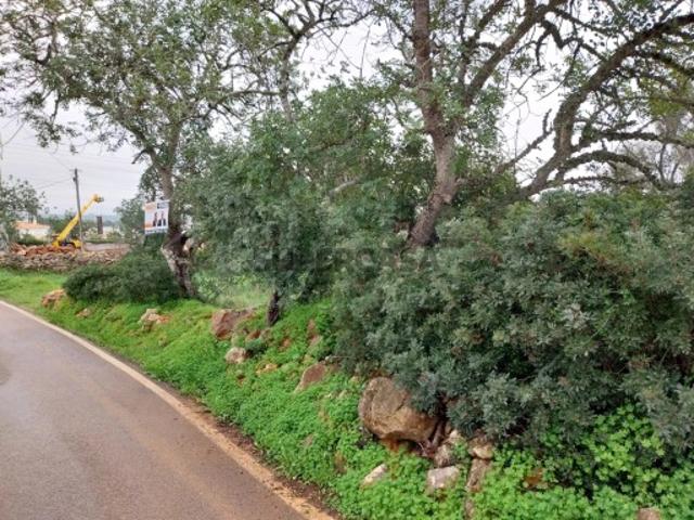 Terreno venda em Albufeira e Olhos de Água, Albufeira