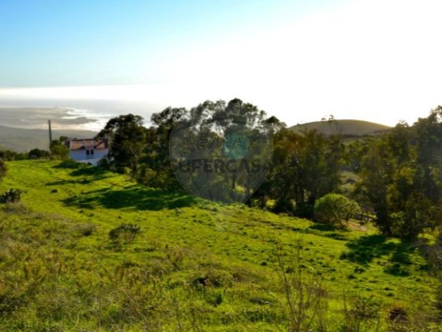 Terreno venda em Cascais, Lisboa