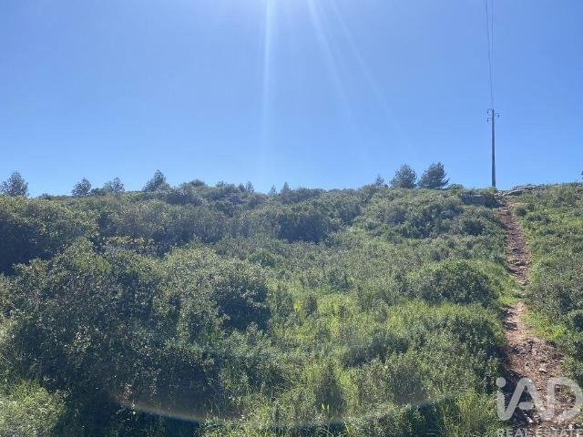 Terreno venda em Alcorvim de Baixo, Cascais
