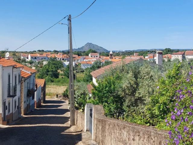 Terreno venda em Idanha-a-Nova e Alcafozes, Idanha-a-Nova