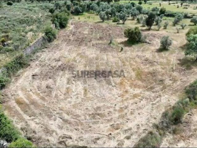 Terreno venda em Alcains, Castelo Branco