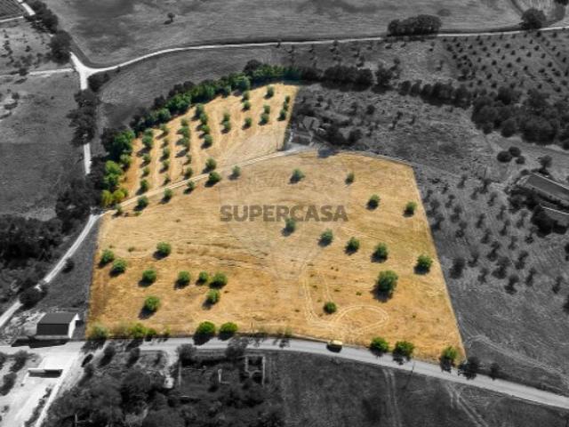 Terreno venda em Tojosa, Santarém