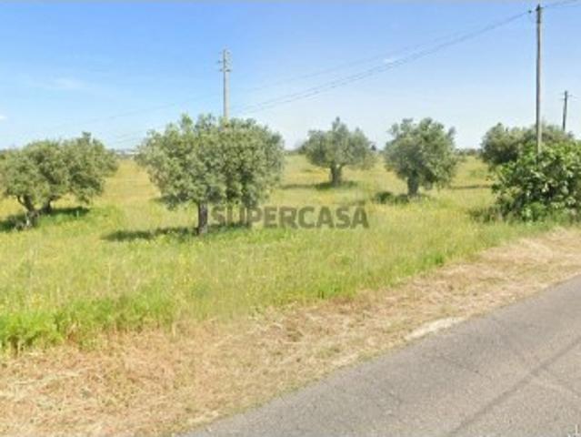 Terreno venda em Alcanena, Santarém