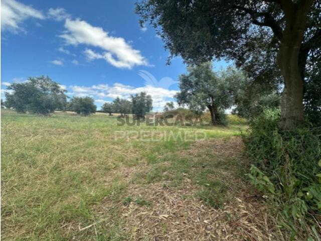 Terreno venda em Santarém