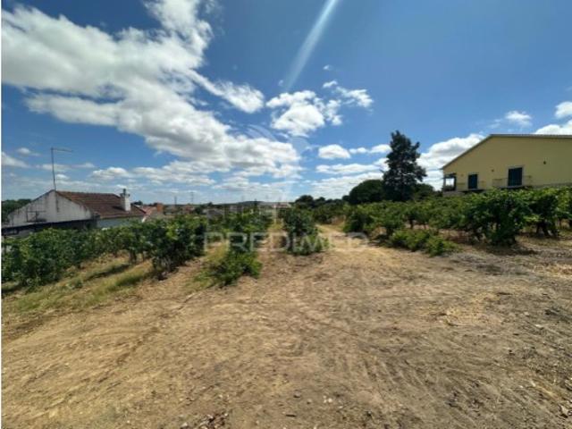 Terreno venda em Santarém