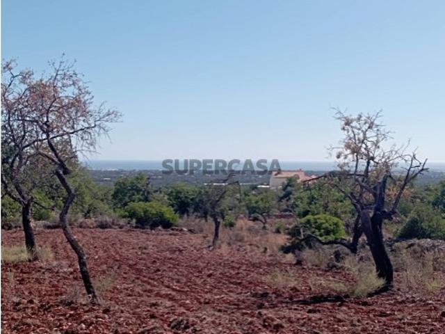 Terreno venda em Faro