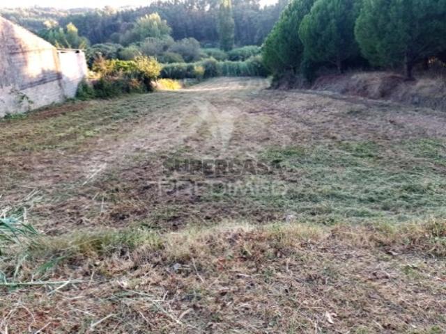 Terreno venda em Rio Maior Terreno venda em Rio Maior