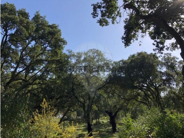 Terreno venda em Azambuja, Lisboa