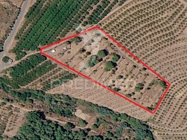 Terreno venda em Castelo Branco, Aldeia Nova Do Cabo