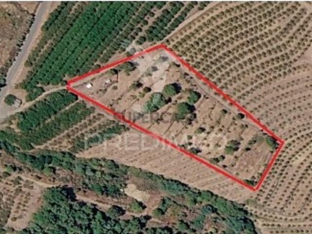 Terreno venda em Castelo Branco, Aldeia Nova Do Cabo